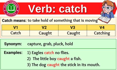 catch is a verb